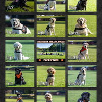BAS Pack of Dogs Sherpa Blanket