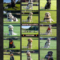 BAS Pack of Dogs Sherpa Blanket