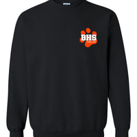Brighton Swim & Dive Crewneck