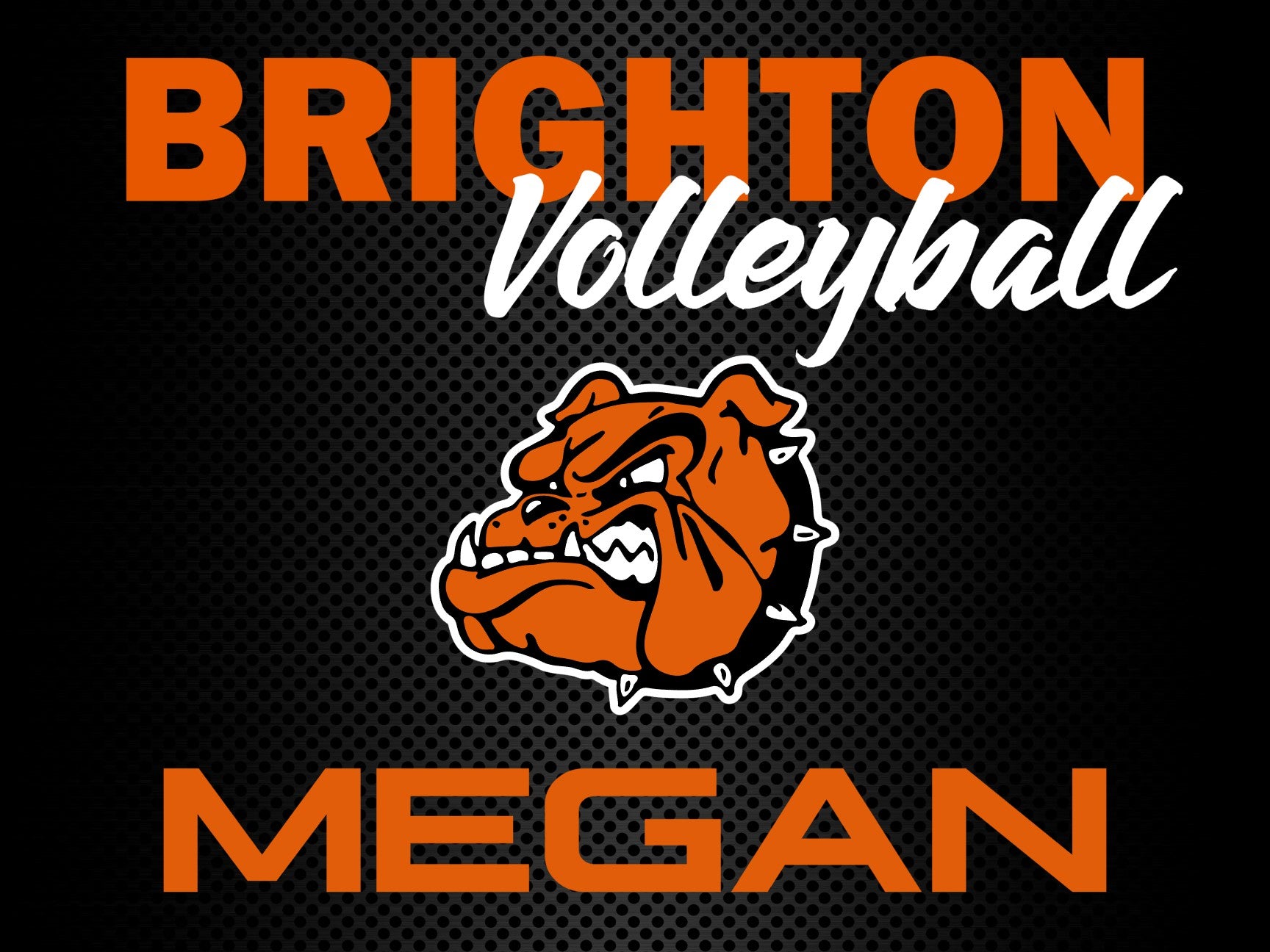 Brighton Volleyball Lawn Sign Ivory Vines