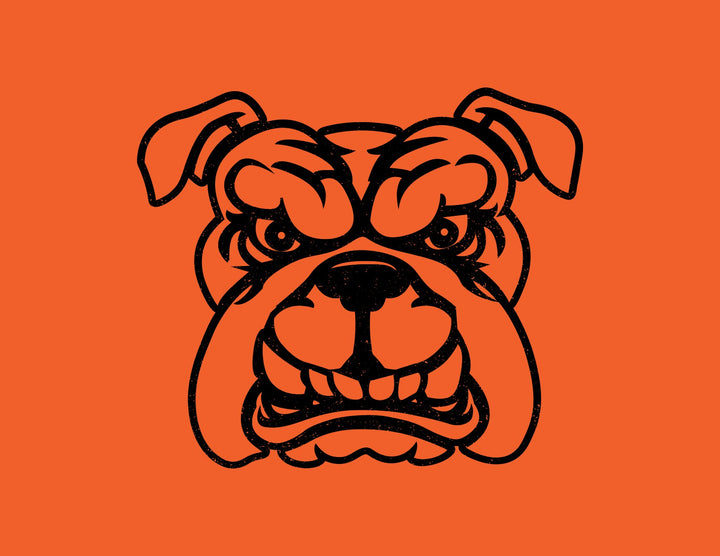 BULLDOGS B107