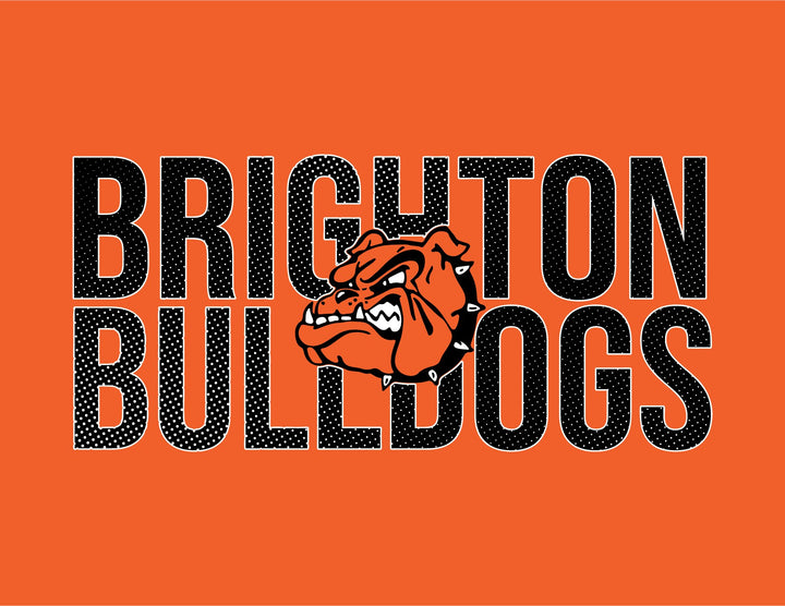 BRIGHTON BULLDOGS B241
