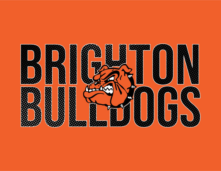 BRIGHTON BULLDOGS B241