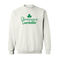 Shenanigans Coordinator