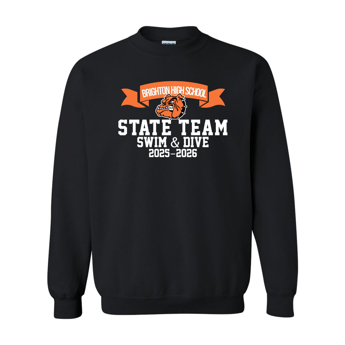 Boy's Swim & Dive State Team Basic Crewneck