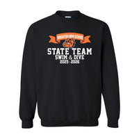 Boy's Swim & Dive State Team Basic Crewneck