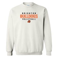 Brighton Volleyball BV04 Basic Crewneck