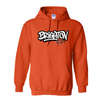Brighton Basic Hoodie B249