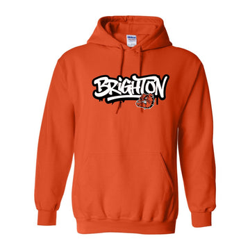 Brighton Basic Hoodie B249
