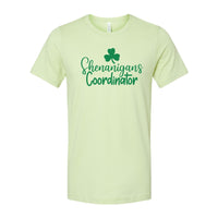 Shenanigans Coordinator