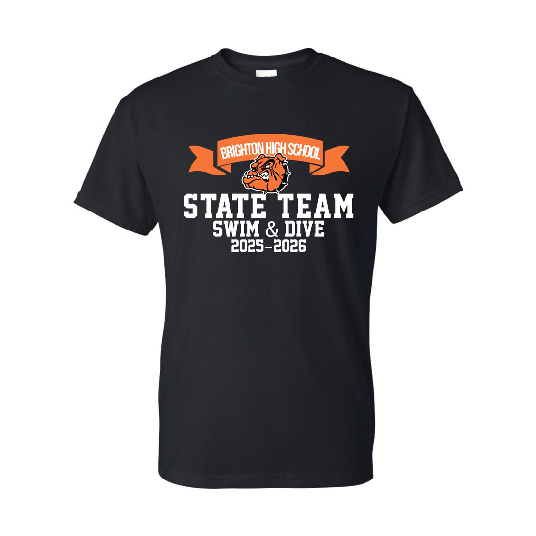 Boy's Swim & Dive State Team Premium Tee