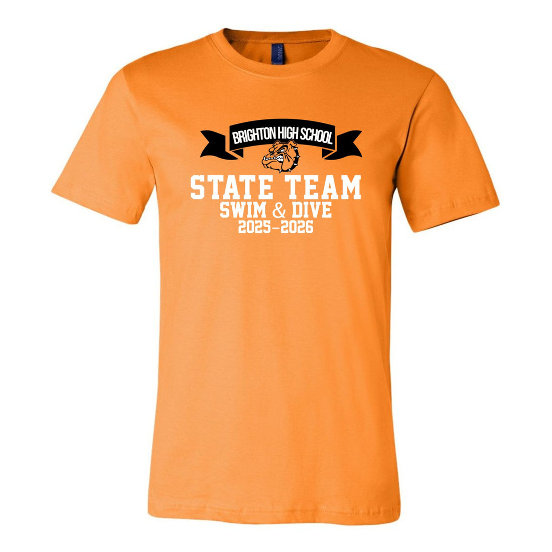 Boy's Swim & Dive State Team Premium Tee