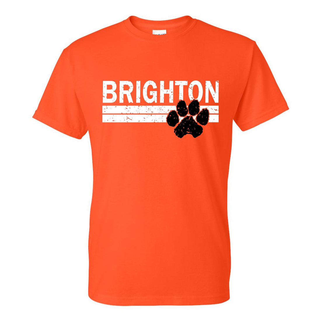 Brighton Bulldogs B147 Orange