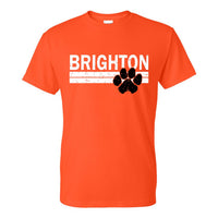 Brighton Bulldogs B147 Orange