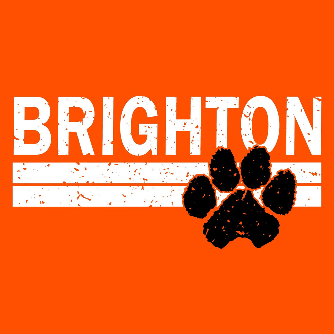 Brighton Bulldogs B147 Orange