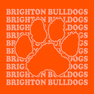 Brighton Bulldogs B153 Orange