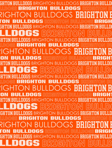 Brighton Bulldogs Repeat Sherpa Blanket (B9)