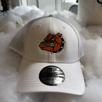 Bulldog Cap - New Era