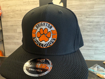 Brighton Paw Patch New Era 9Fifty Flat Bill Hat