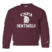 CSPA Sentinels Crewneck CSP3