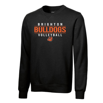 Brighton Volleyball BV04  Premium Crewneck