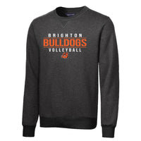 Brighton Volleyball BV04  Premium Crewneck