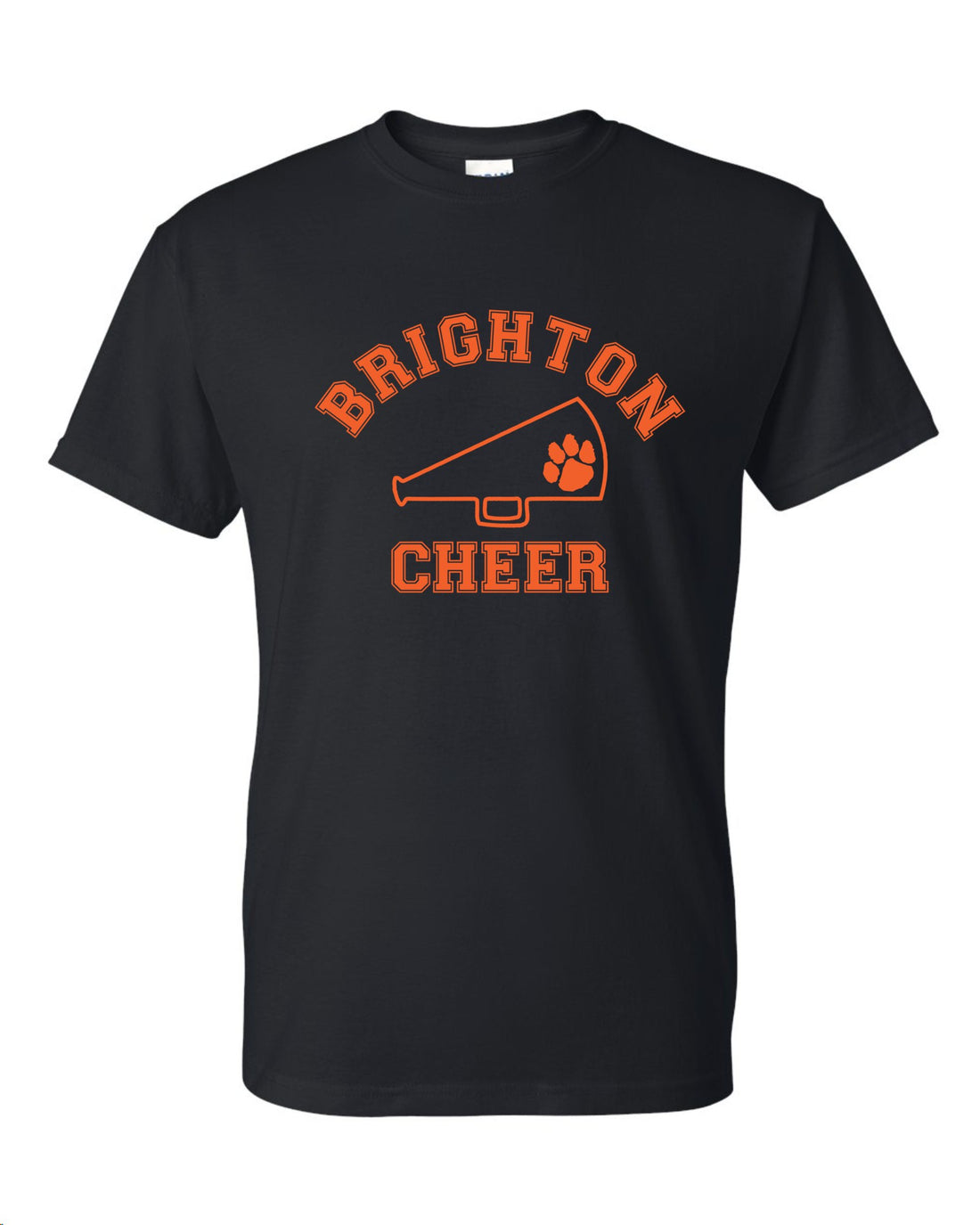 Basic Cheer Tee - PRACTICE APPROVED