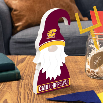Central Michigan University Gnome