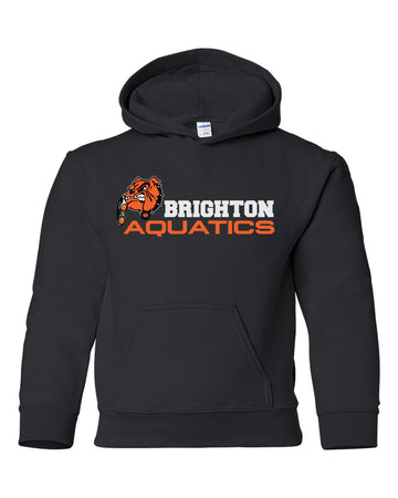 Brighton Aqua Dogs Hoodie