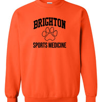 Brighton Sports Medicine Crewneck