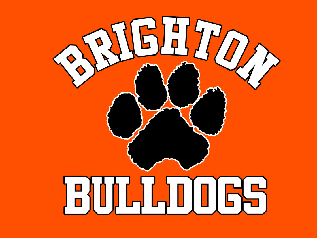 Brighton House Flag - Orange