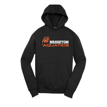 Brighton Aqua Dogs Premium Hoodie