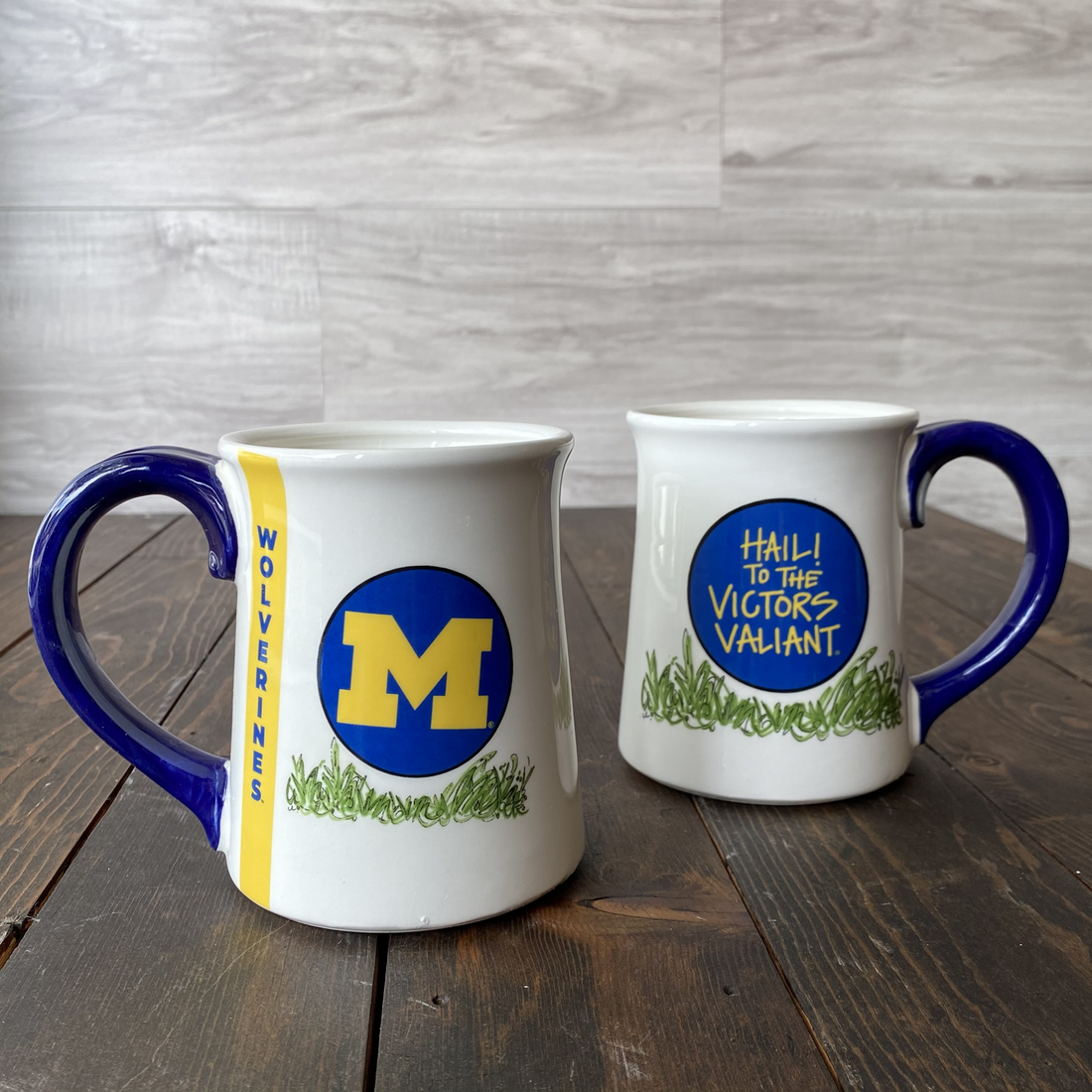 University of Michigan Traditions Mug
